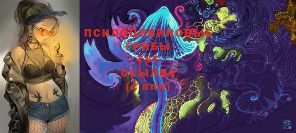 мдпв Козельск