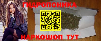 крисы Апрелевка