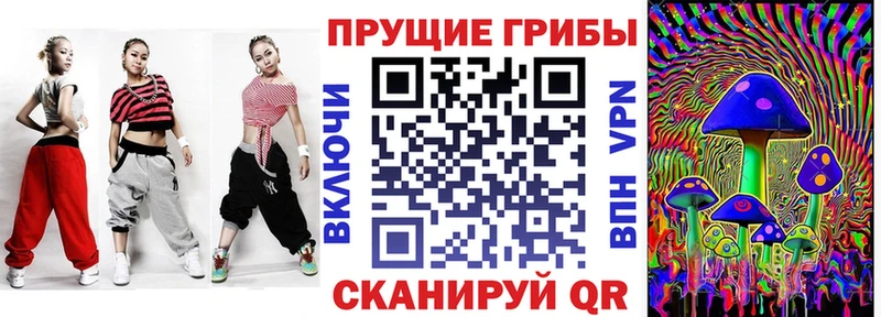 KRAKEN онион Рузаевка Псилоцибиновые грибы GOLDEN TEACHER
