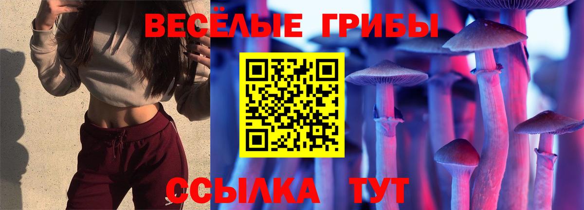 Псилоцибиновые грибы Cubensis Рузаевка