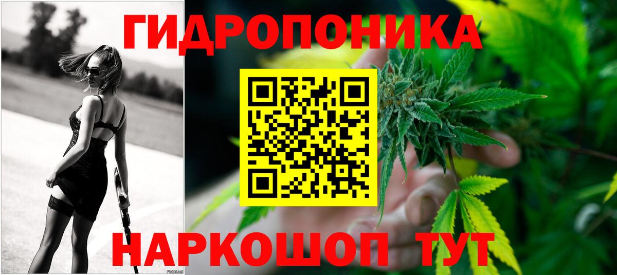 Бошки Шишки план Рузаевка